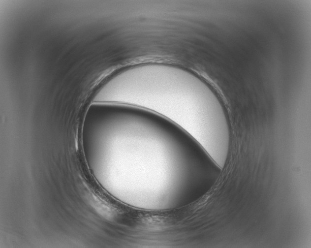 X0000080150062200612081103