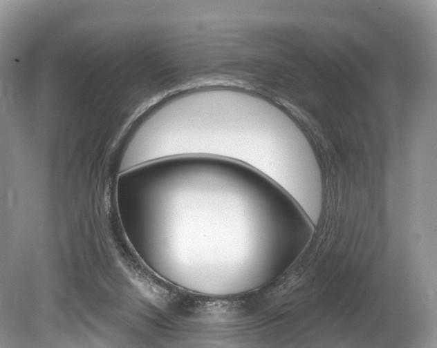 X0000080150064200612081103