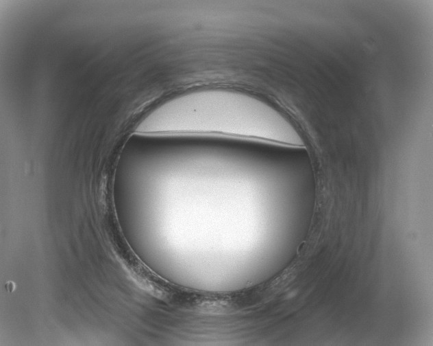X0000080150066200612081103