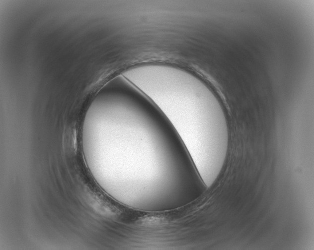 X0000080150067200612081103