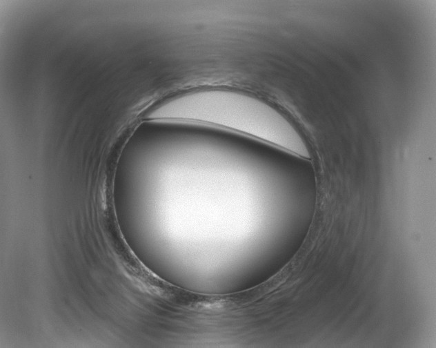 X0000080150068200612081103