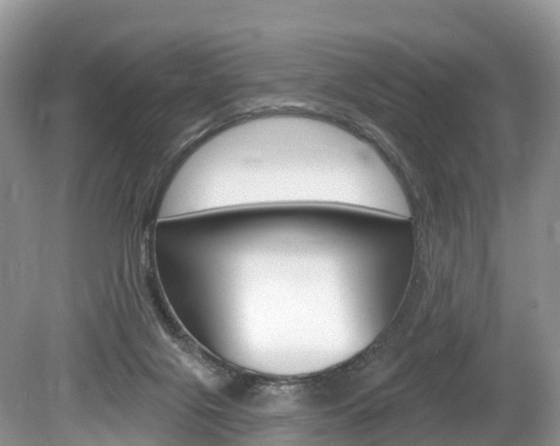 X0000080150071200612081103