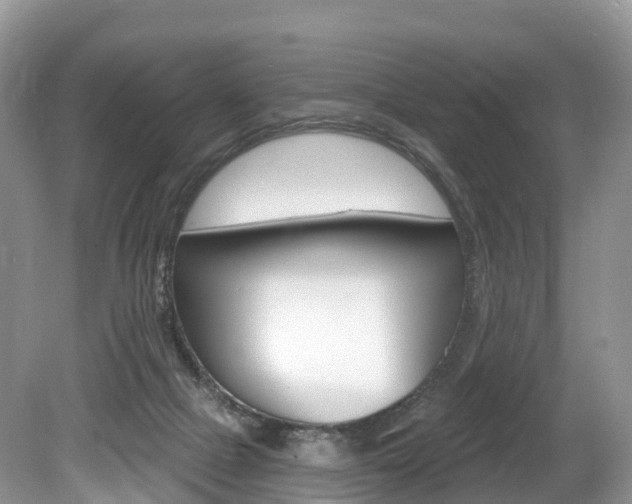 X0000080150073200612081103