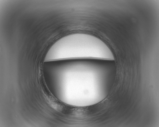 X0000080150074200612081103
