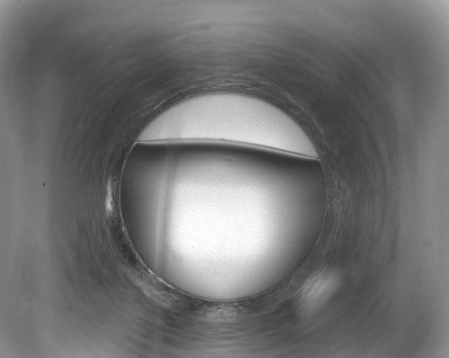 X0000080150075200612081103