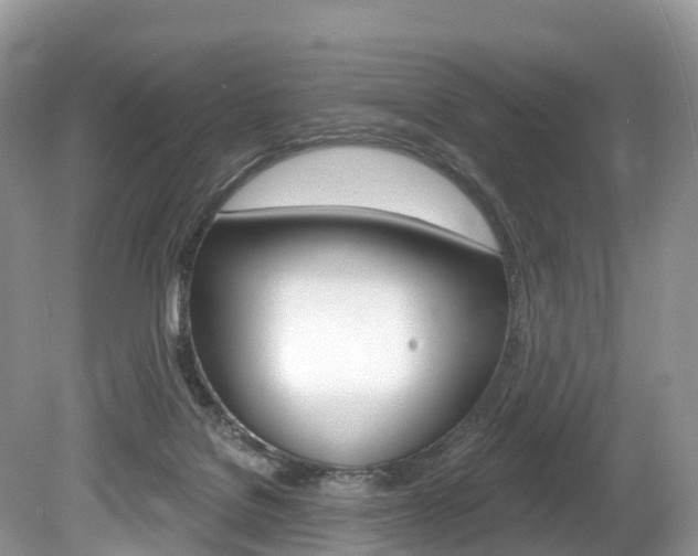 X0000080150076200612081103
