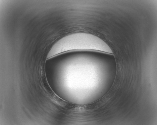 X0000080150080200612081103