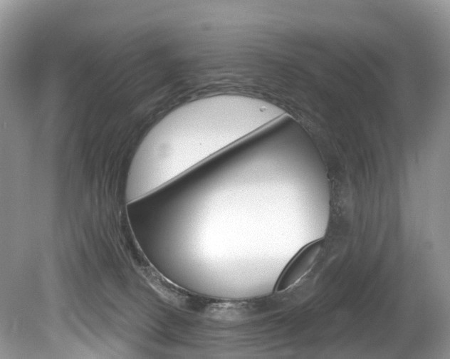 X0000080150082200612081103
