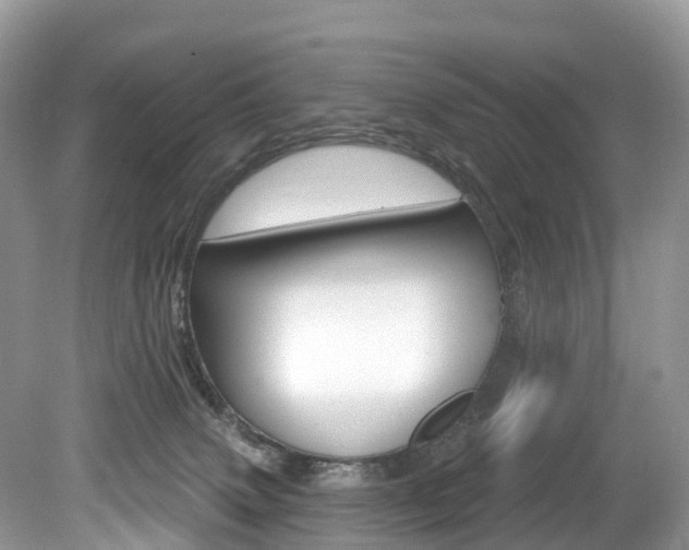 X0000080150083200612081103