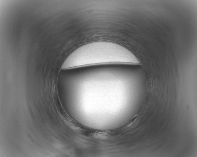 X0000080150086200612081103