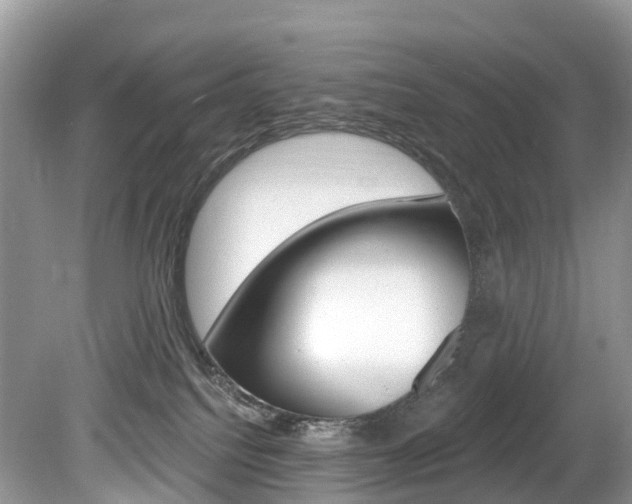 X0000080150088200612081103