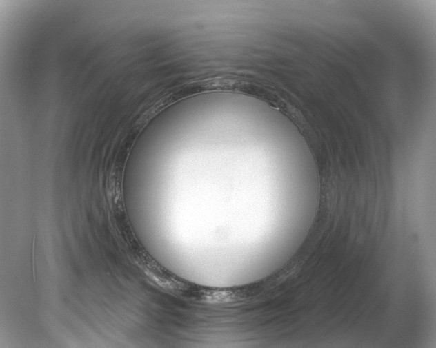 X0000080150091200612081103