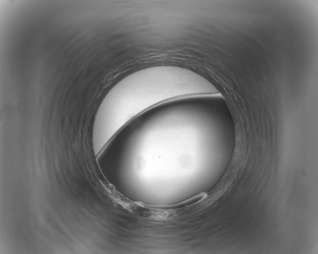 X0000080150096200612081103
