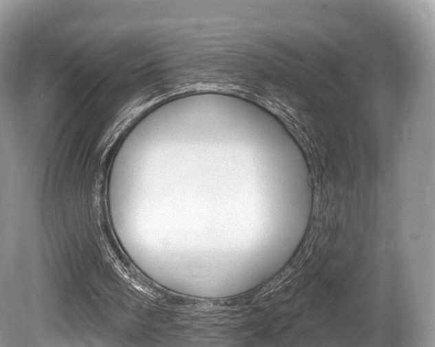 X0000080150098200612081103