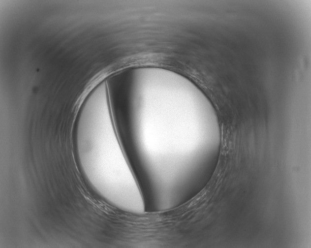 X0000080150099200612081103
