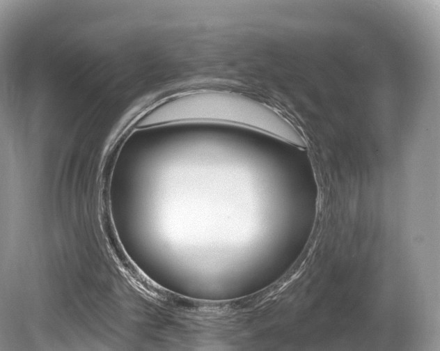 X0000080150101200612081103