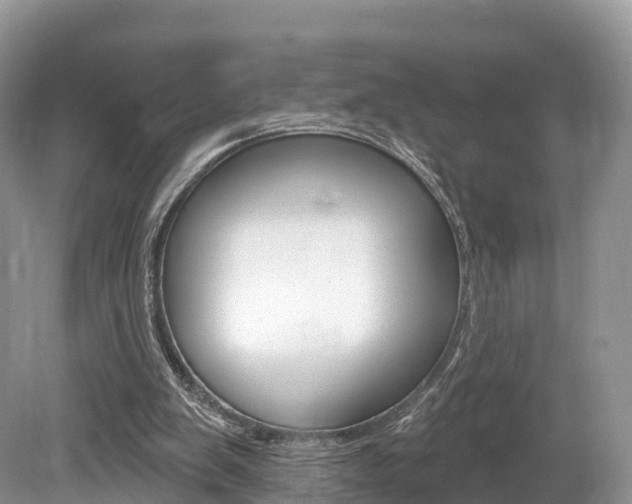 X0000080150103200612081103