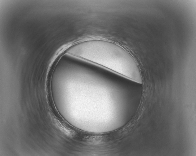 X0000080150104200612081103