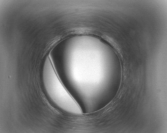 X0000080150105200612081103