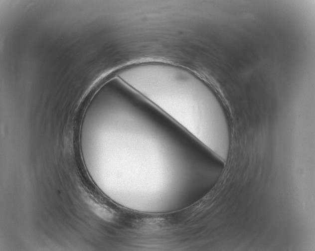 X0000080150108200612081102