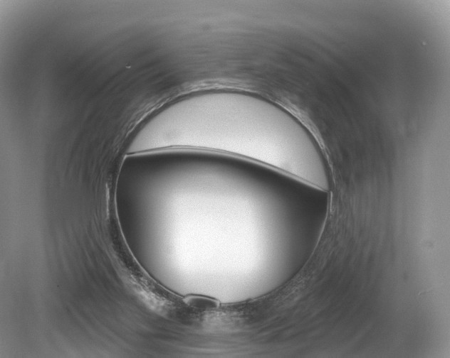 X0000080150109200612081102