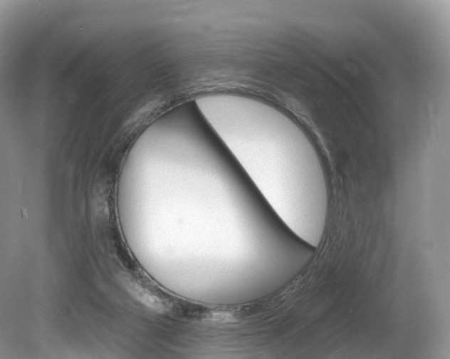 X0000080150114200612081102