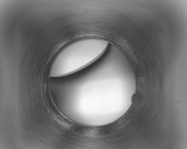 X0000080150116200612081102