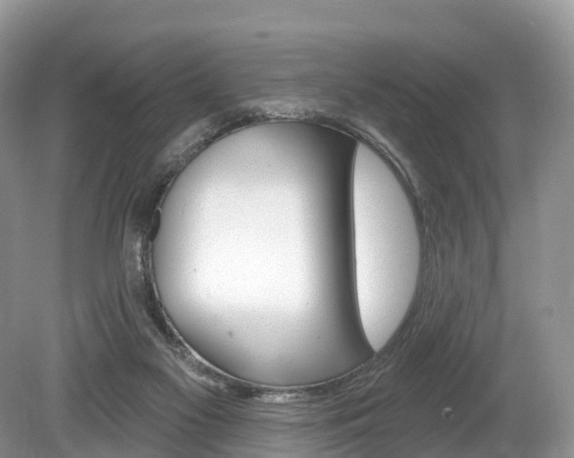 X0000080150117200612081102