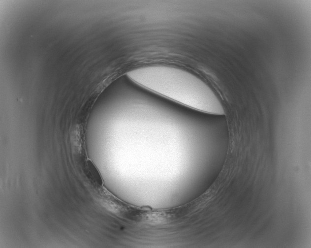 X0000080150121200612081102