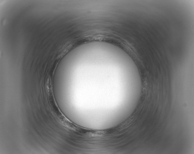 X0000080150122200612081102