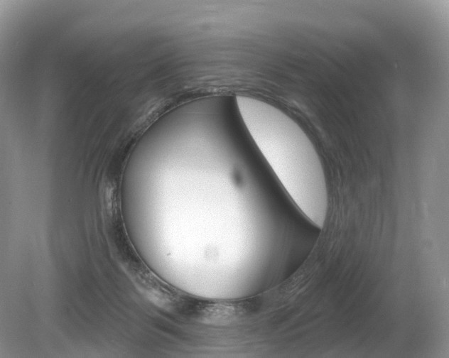 X0000080150123200612081102