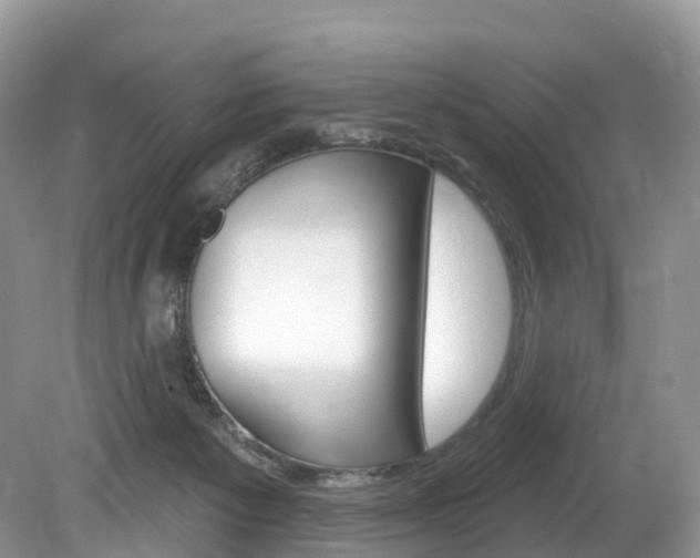 X0000080150125200612081102