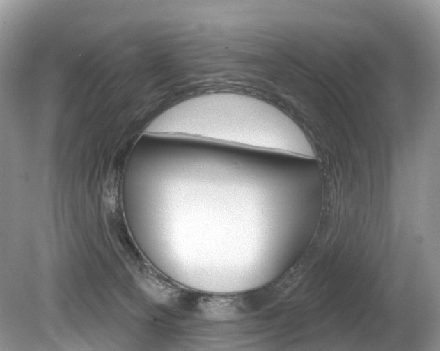 X0000080150129200612081102