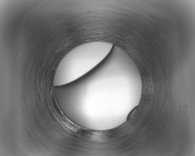 X0000080150130200612081102