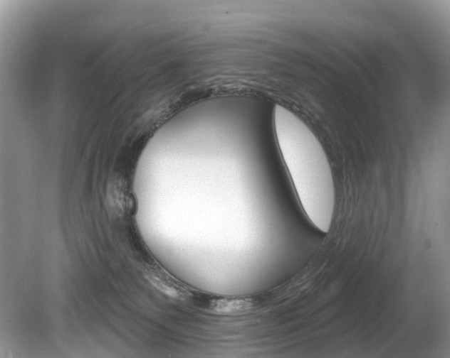 X0000080150135200612081102