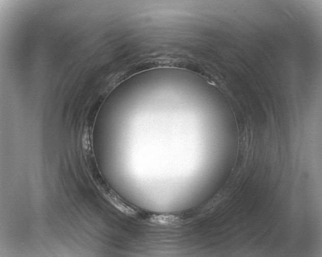 X0000080150137200612081102