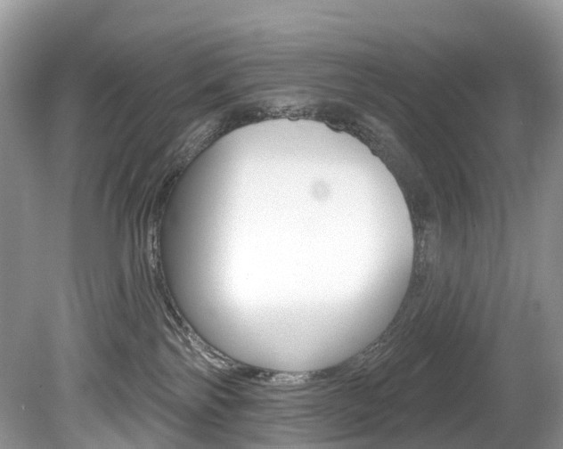 X0000080150138200612081102