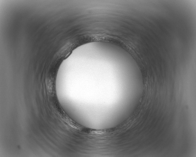 X0000080150139200612081102