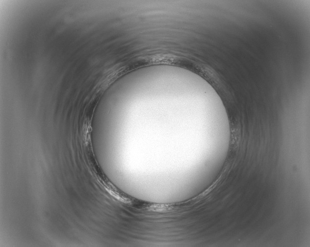 X0000080150142200612081102