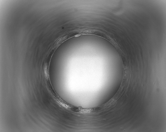 X0000080150143200612081102