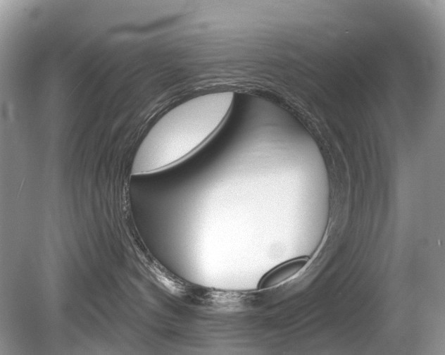 X0000080150144200612081102