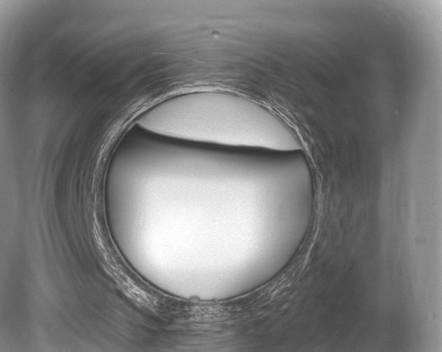 X0000080150145200612081101