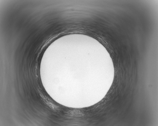 X0000080150146200612081101