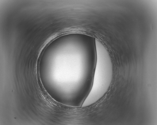 X0000080150148200612081101