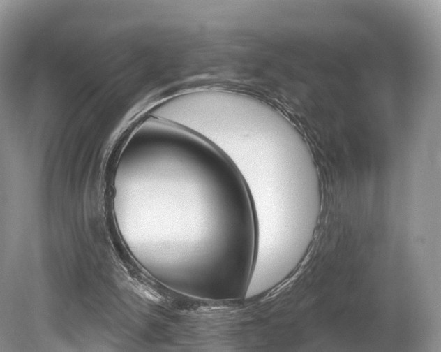 X0000080150150200612081101
