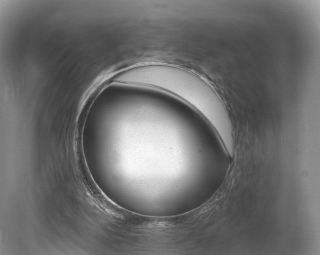 X0000080150152200612081101
