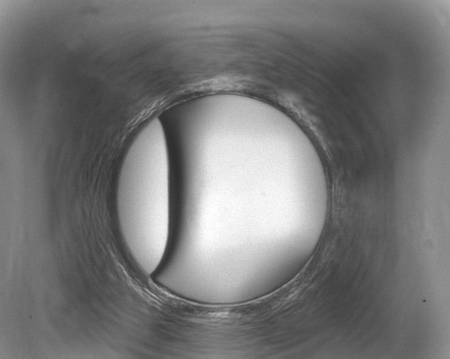 X0000080150153200612081101