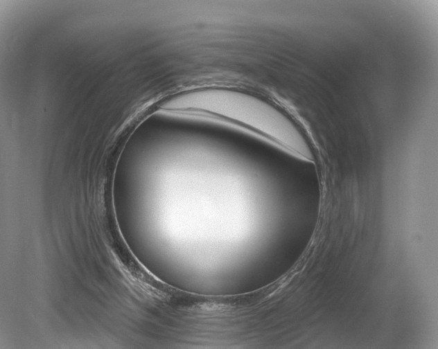 X0000080150154200612081101