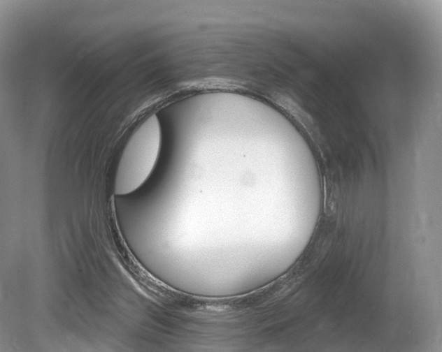 X0000080150157200612081101