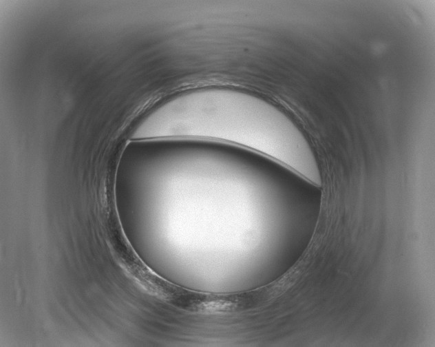 X0000080150158200612081101